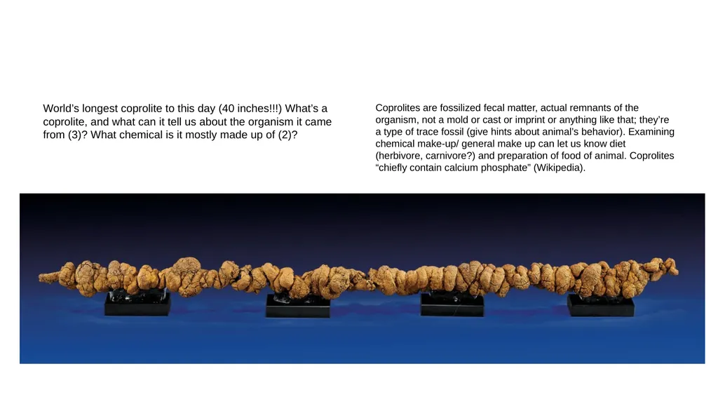 First section: Open-ended Instructions: explain - slide 19 of 21