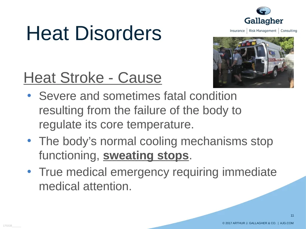 Preventing Heat Illnesses HEAT STRESS Contributing - slide 11 of 15