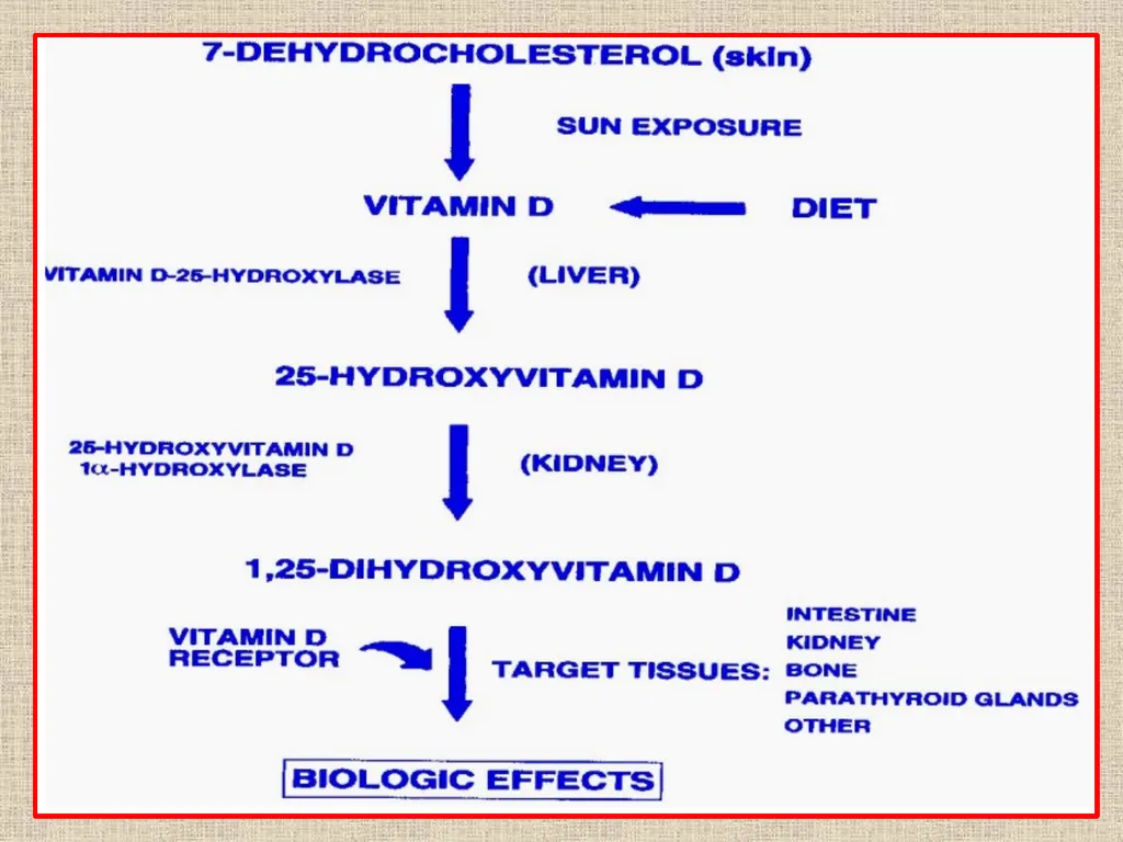 RICKETS VCM-609 Dr. Anil Kumar PG(Medicine) Dept. - slide 6 of 16