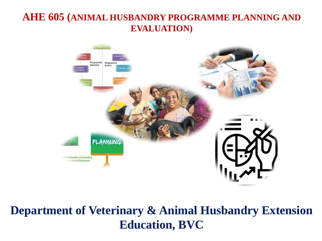 AHE 605 (ANIMAL HUSBANDRY PROGRAMME PLANNING AND - slide 1 of 8