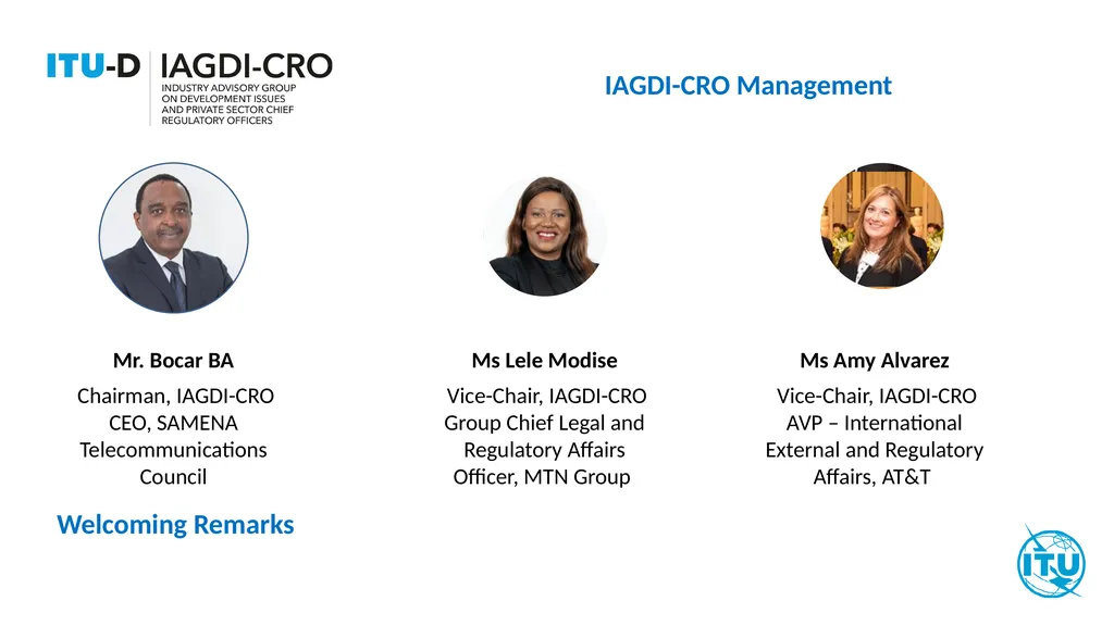 Industry Advisory Group on Development Issues and - slide 3 of 8