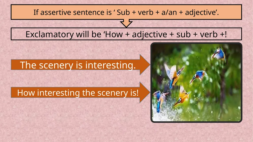 WELCOME TO MY CLASS INTRODUCTION The lion is a - slide 16 of 19