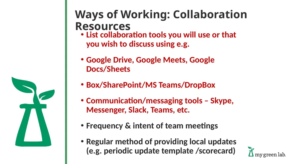 Global Team Kickoff Roles & Responsibilities - slide 6 of 9