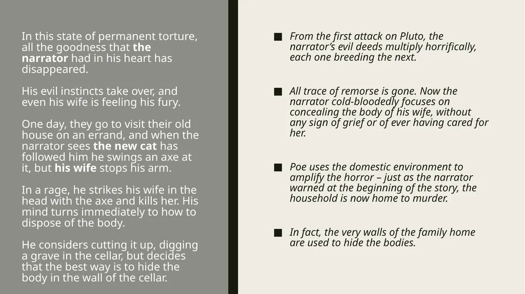 ThE Black cat Edgar Allan Poe Summary Analysis & - slide 15 of 36