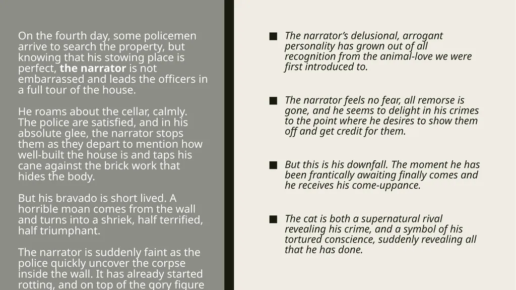 ThE Black cat Edgar Allan Poe Summary Analysis & - slide 17 of 36