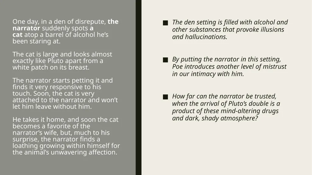 ThE Black cat Edgar Allan Poe Summary Analysis & - slide 12 of 36