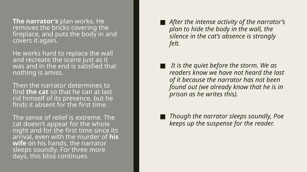 ThE Black cat Edgar Allan Poe Summary Analysis & - slide 16 of 36