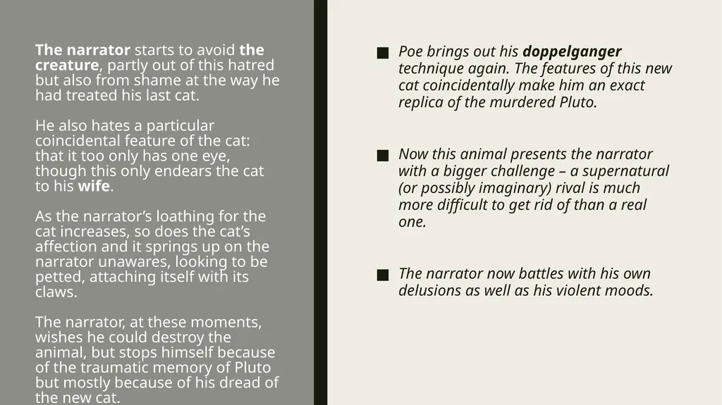 ThE Black cat Edgar Allan Poe Summary Analysis & - slide 13 of 36