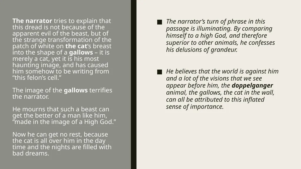 ThE Black cat Edgar Allan Poe Summary Analysis & - slide 14 of 36