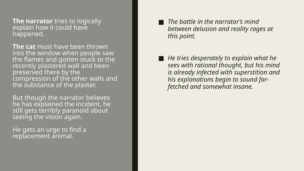 ThE Black cat Edgar Allan Poe Summary Analysis & - slide 11 of 36