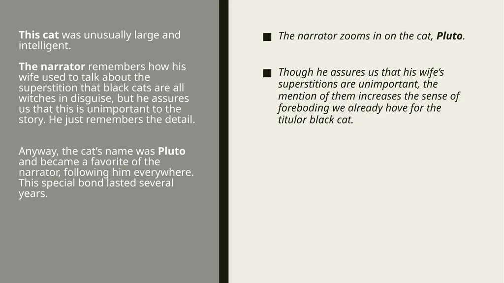 ThE Black cat Edgar Allan Poe Summary Analysis & - slide 7 of 36