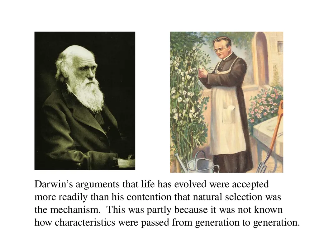 The Evolution of Populations Chapter 23 BCOR 012 - slide 3 of 38