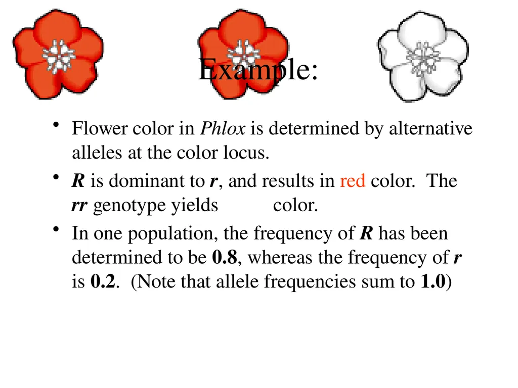The Evolution of Populations Chapter 23 BCOR 012 - slide 9 of 38