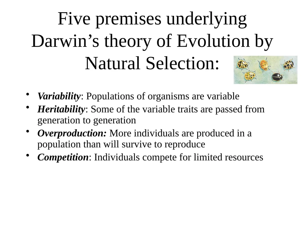 The Evolution of Populations Chapter 23 BCOR 012 - slide 19 of 38