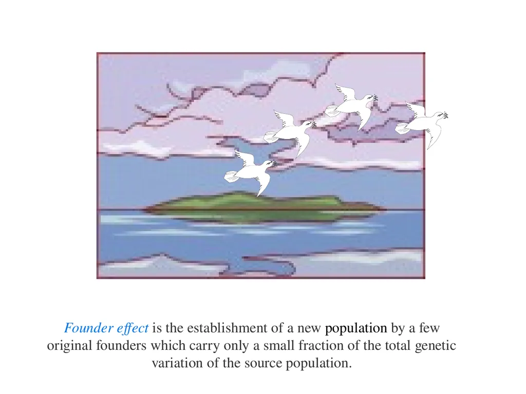 The Evolution of Populations Chapter 23 BCOR 012 - slide 36 of 38