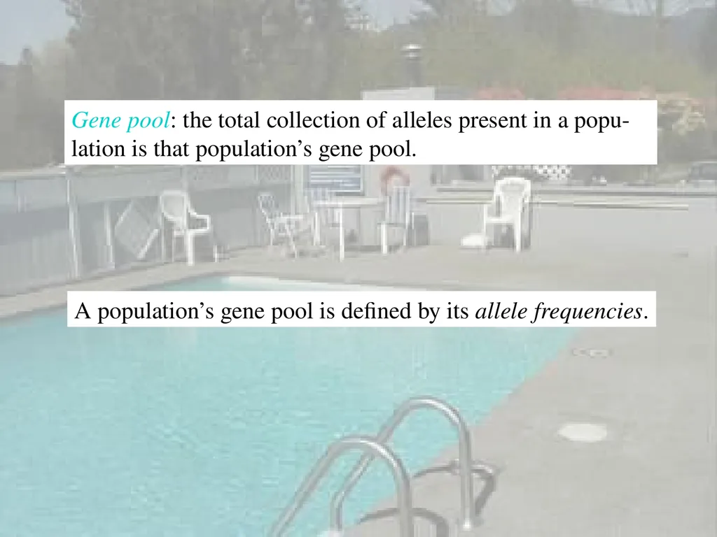 The Evolution of Populations Chapter 23 BCOR 012 - slide 8 of 38