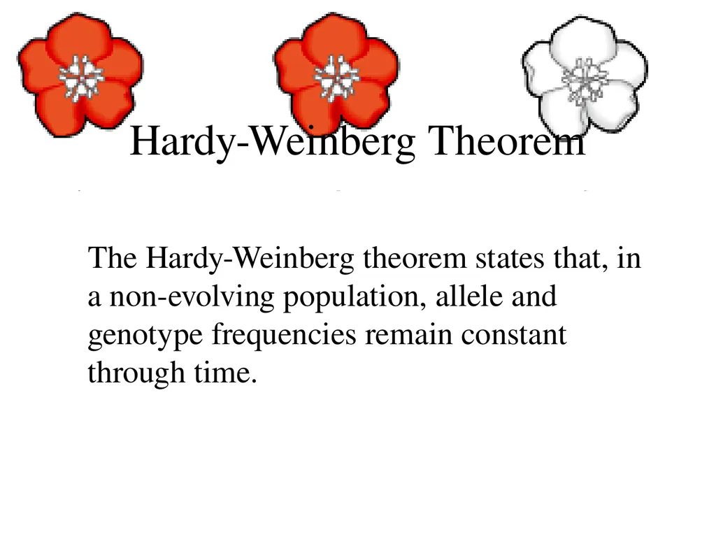 The Evolution of Populations Chapter 23 BCOR 012 - slide 10 of 38