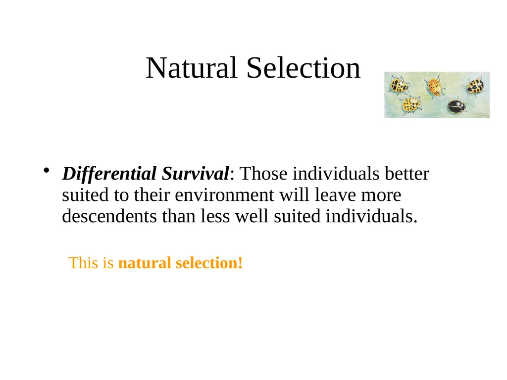 The Evolution of Populations Chapter 23 BCOR 012 - slide 20 of 38