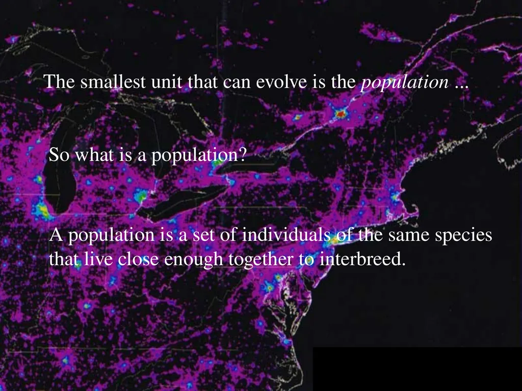 The Evolution of Populations Chapter 23 BCOR 012 - slide 5 of 38