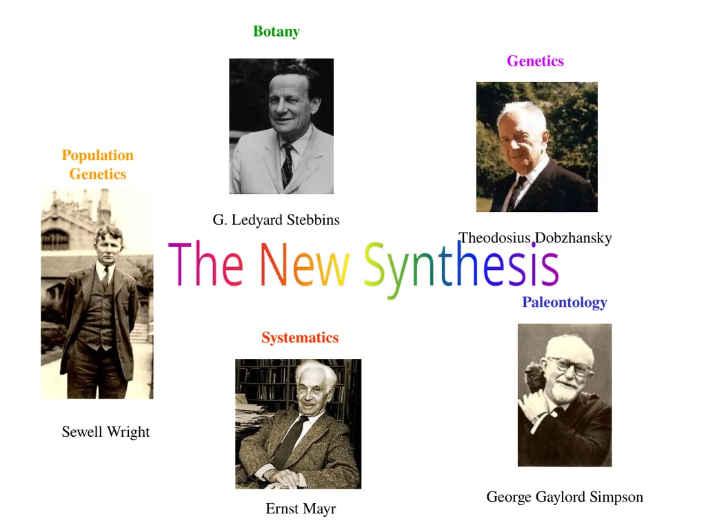 The Evolution of Populations Chapter 23 BCOR 012 - slide 4 of 38