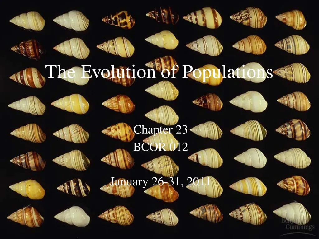 The Evolution of Populations Chapter 23 BCOR 012