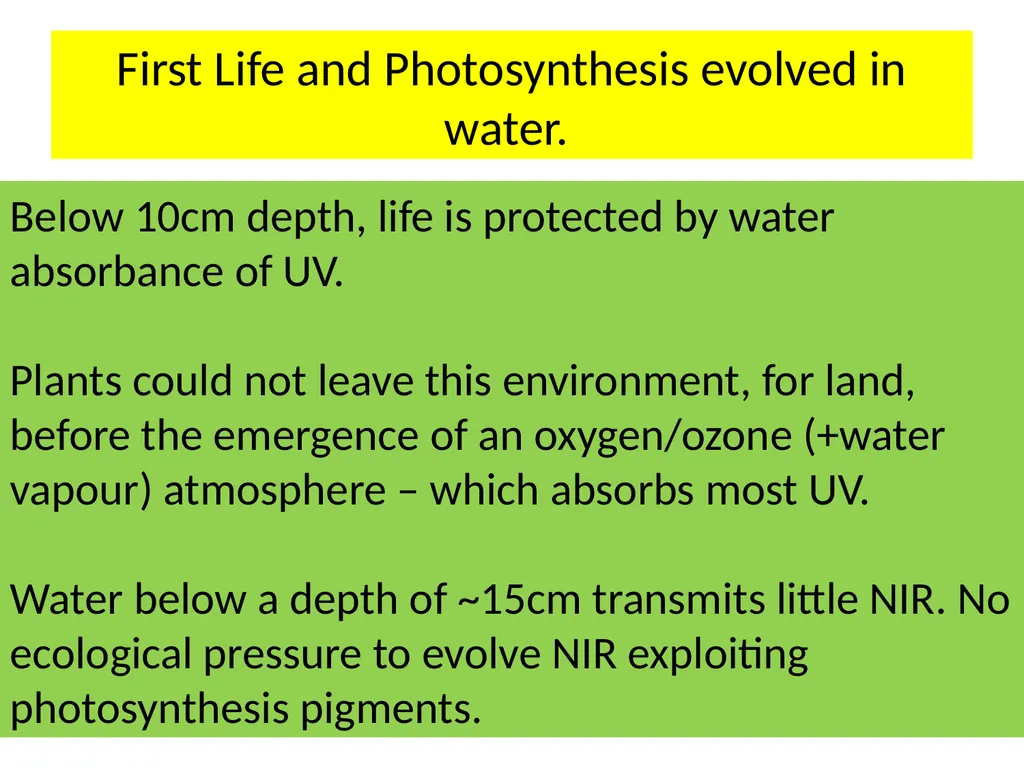 Could Planets orbiting Red Dwarf Stars support - slide 7 of 14