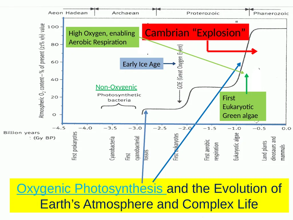 Could Planets orbiting Red Dwarf Stars support - slide 3 of 14