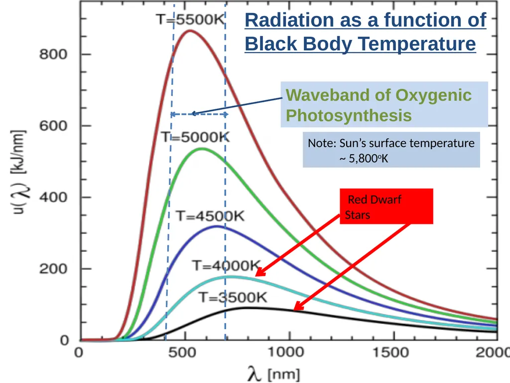 Could Planets orbiting Red Dwarf Stars support - slide 5 of 14