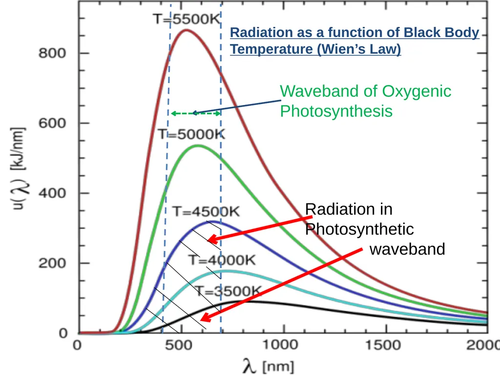 Could Planets orbiting Red Dwarf Stars support - slide 6 of 14