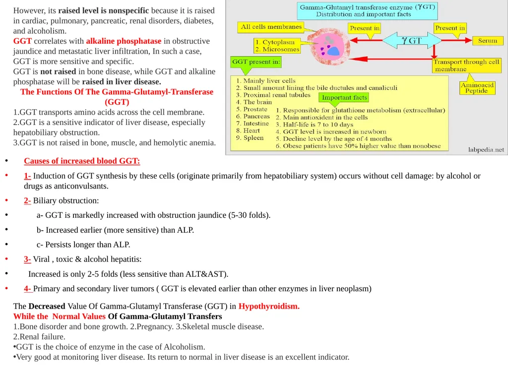 Lec.3 Liver Function Tests Dr. Shatha AL-Khateeb - slide 4 of 14