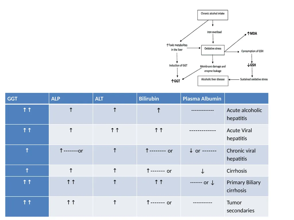 Lec.3 Liver Function Tests Dr. Shatha AL-Khateeb - slide 14 of 14