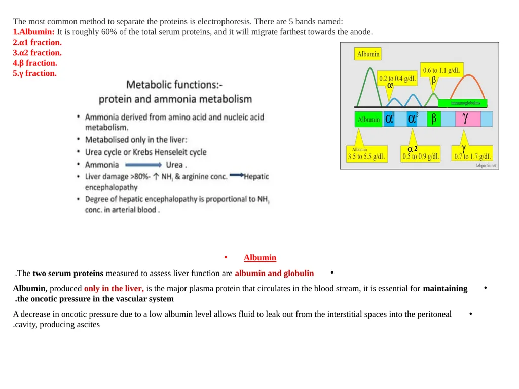 Lec.3 Liver Function Tests Dr. Shatha AL-Khateeb - slide 8 of 14
