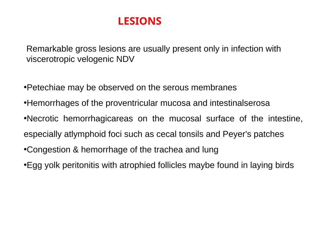 NEWCASTLE DISEASE RANIKHET DISEASE, AVIAN - slide 9 of 14