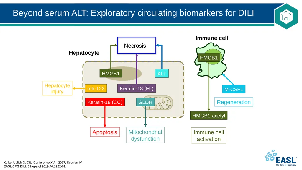 Drug-induced liver injury Clinical Practice - slide 42 of 44