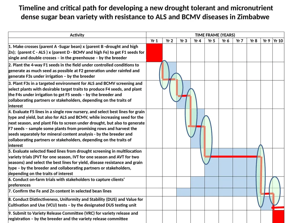 Chapter 5 Variety Development Strategy and Stage - slide 21 of 34