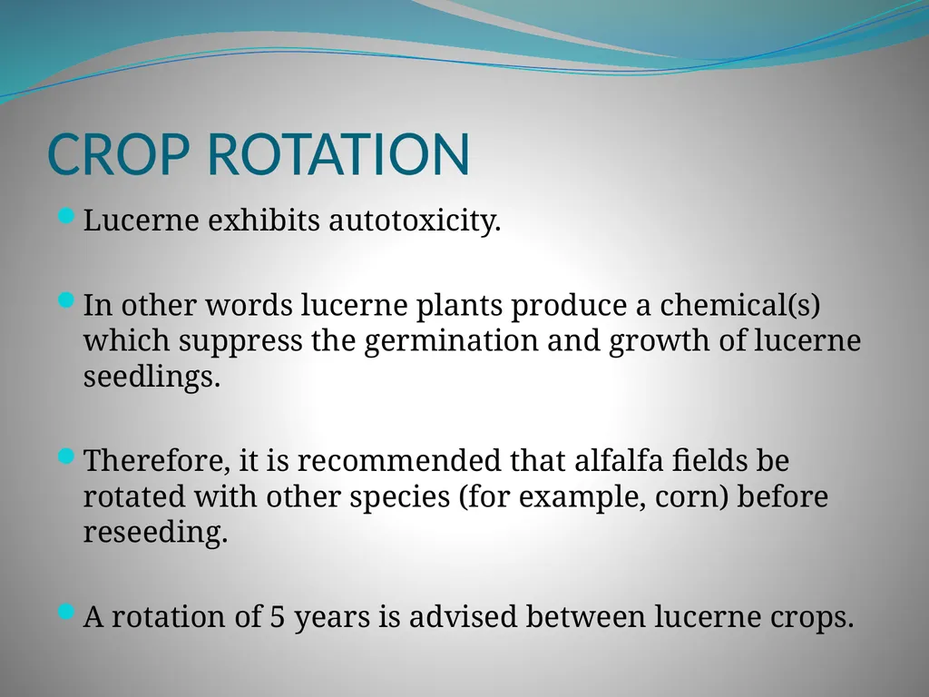 PRODUCTION AND MARKETING OF LUCERNE NTOKOZO - slide 17 of 34