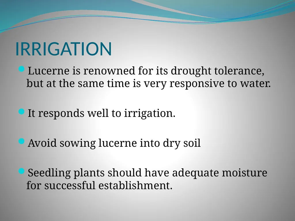 PRODUCTION AND MARKETING OF LUCERNE NTOKOZO - slide 6 of 34