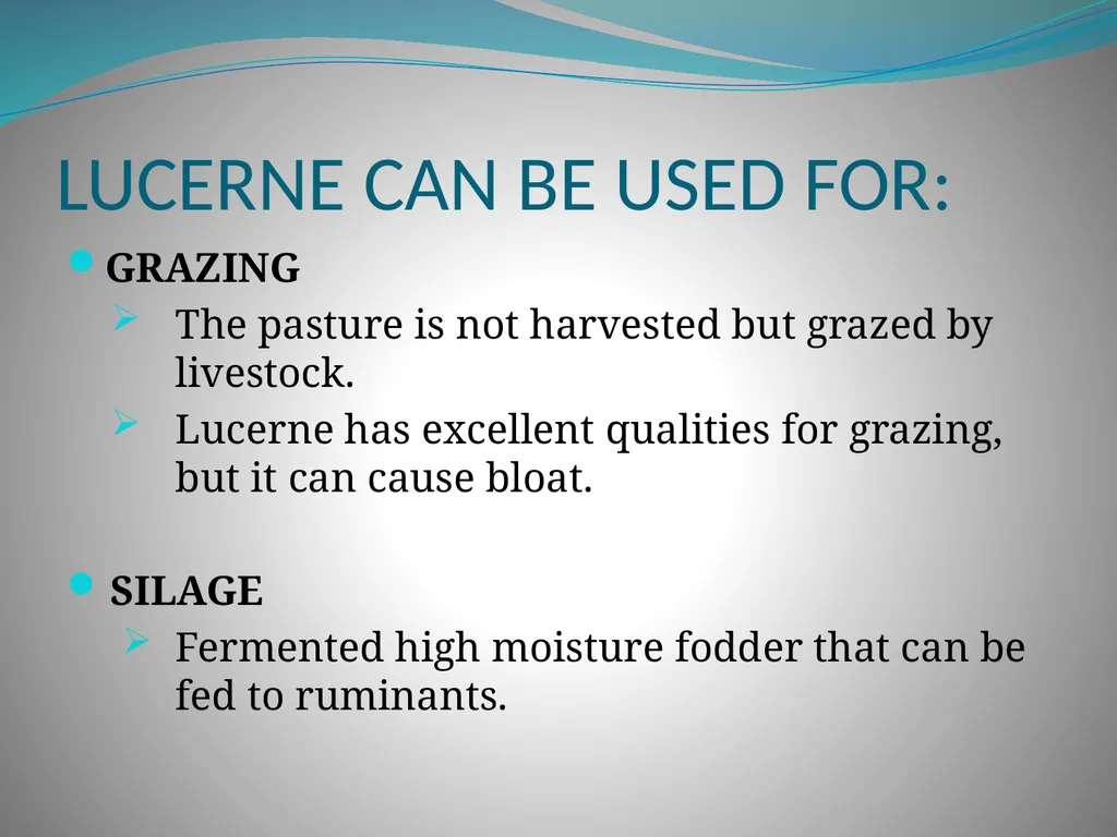 PRODUCTION AND MARKETING OF LUCERNE NTOKOZO - slide 19 of 34