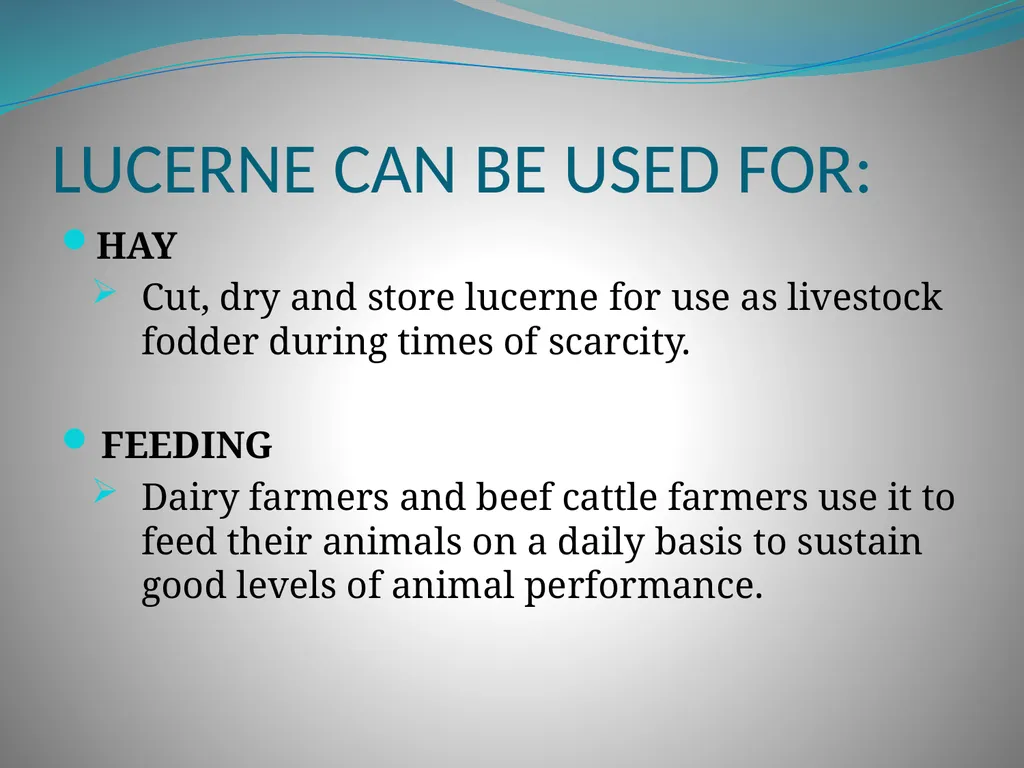 PRODUCTION AND MARKETING OF LUCERNE NTOKOZO - slide 20 of 34