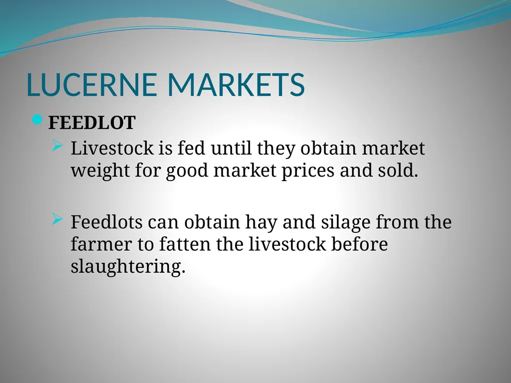PRODUCTION AND MARKETING OF LUCERNE NTOKOZO - slide 22 of 34