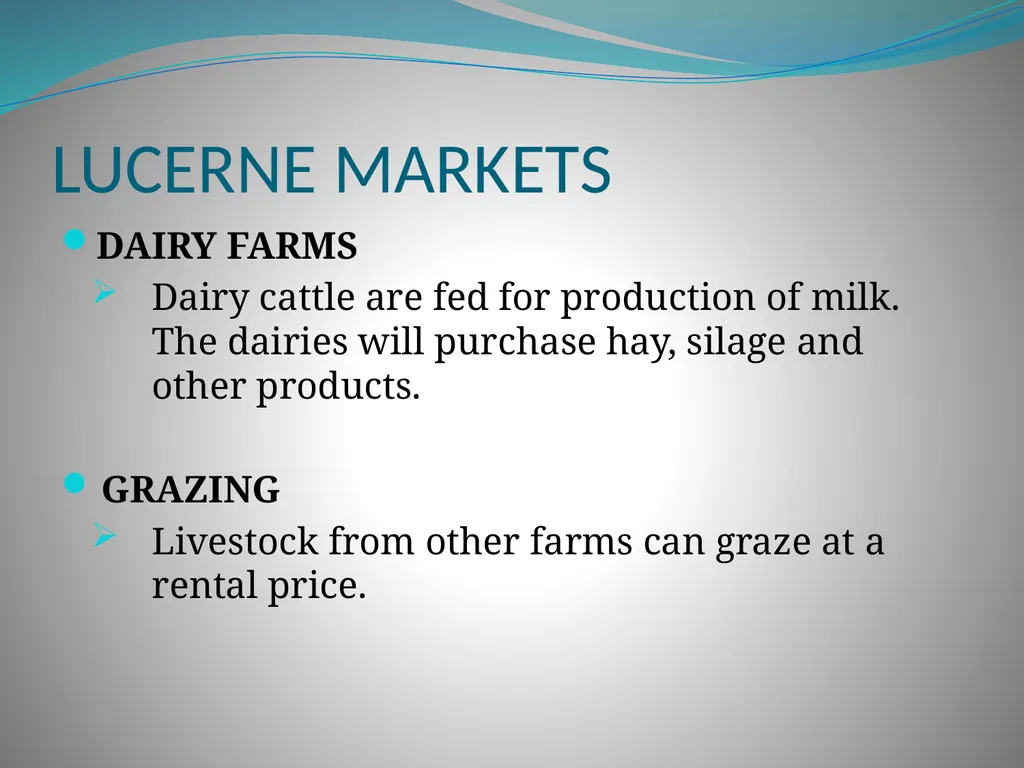 PRODUCTION AND MARKETING OF LUCERNE NTOKOZO - slide 23 of 34