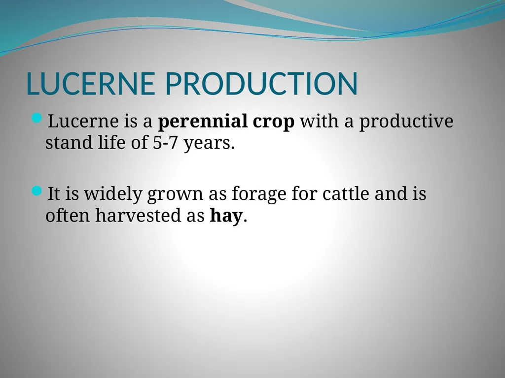 PRODUCTION AND MARKETING OF LUCERNE NTOKOZO - slide 3 of 34