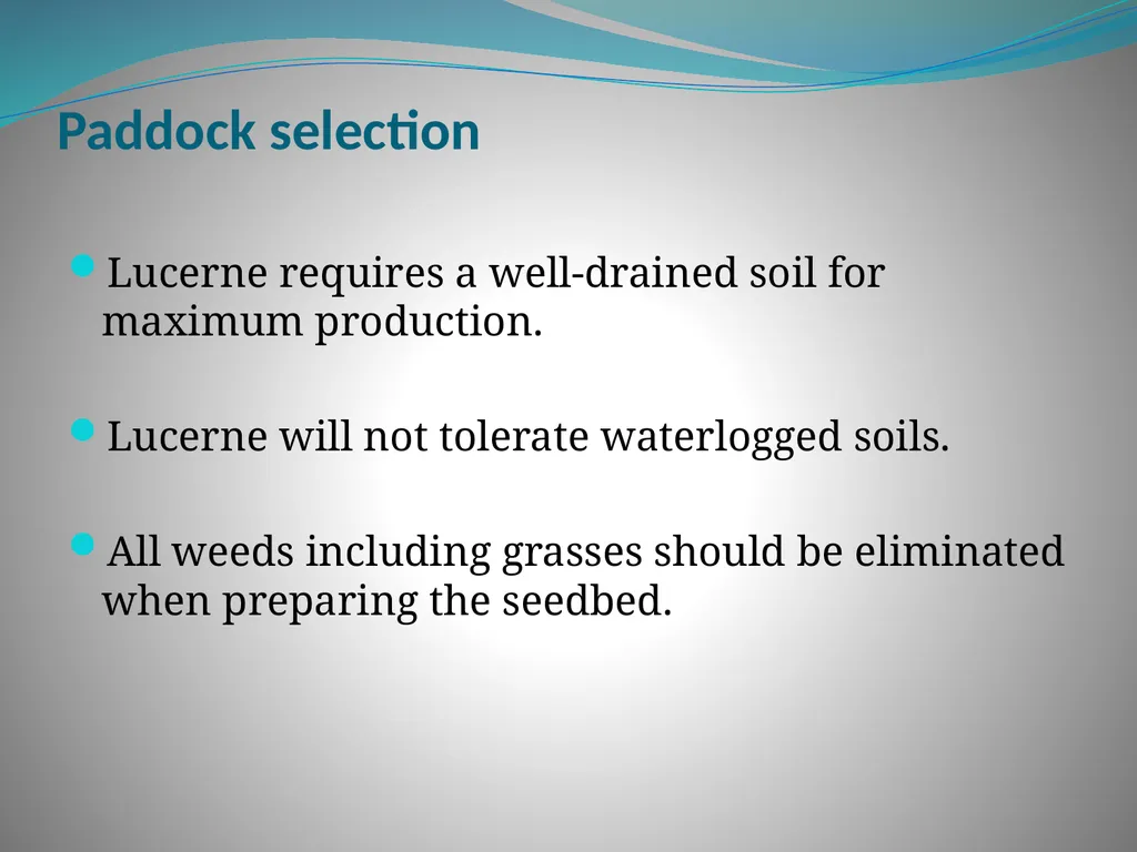 PRODUCTION AND MARKETING OF LUCERNE NTOKOZO - slide 4 of 34