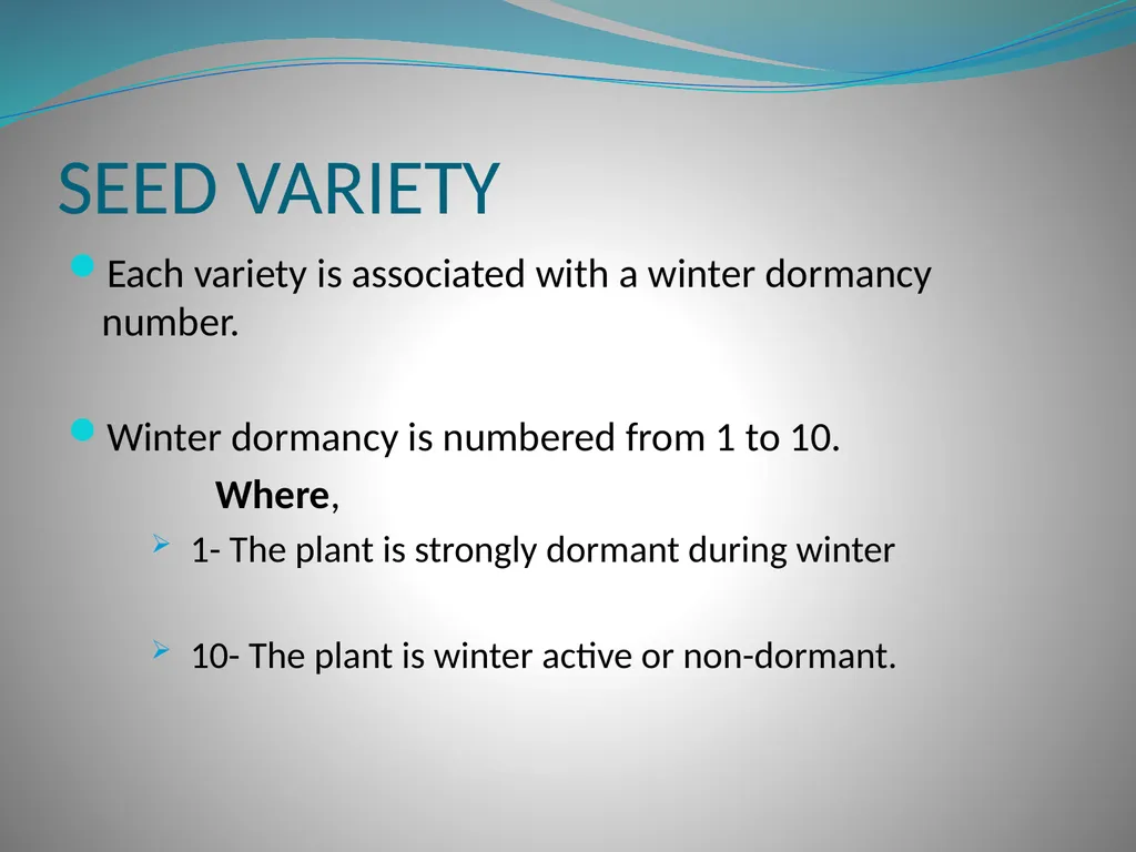 PRODUCTION AND MARKETING OF LUCERNE NTOKOZO - slide 7 of 34