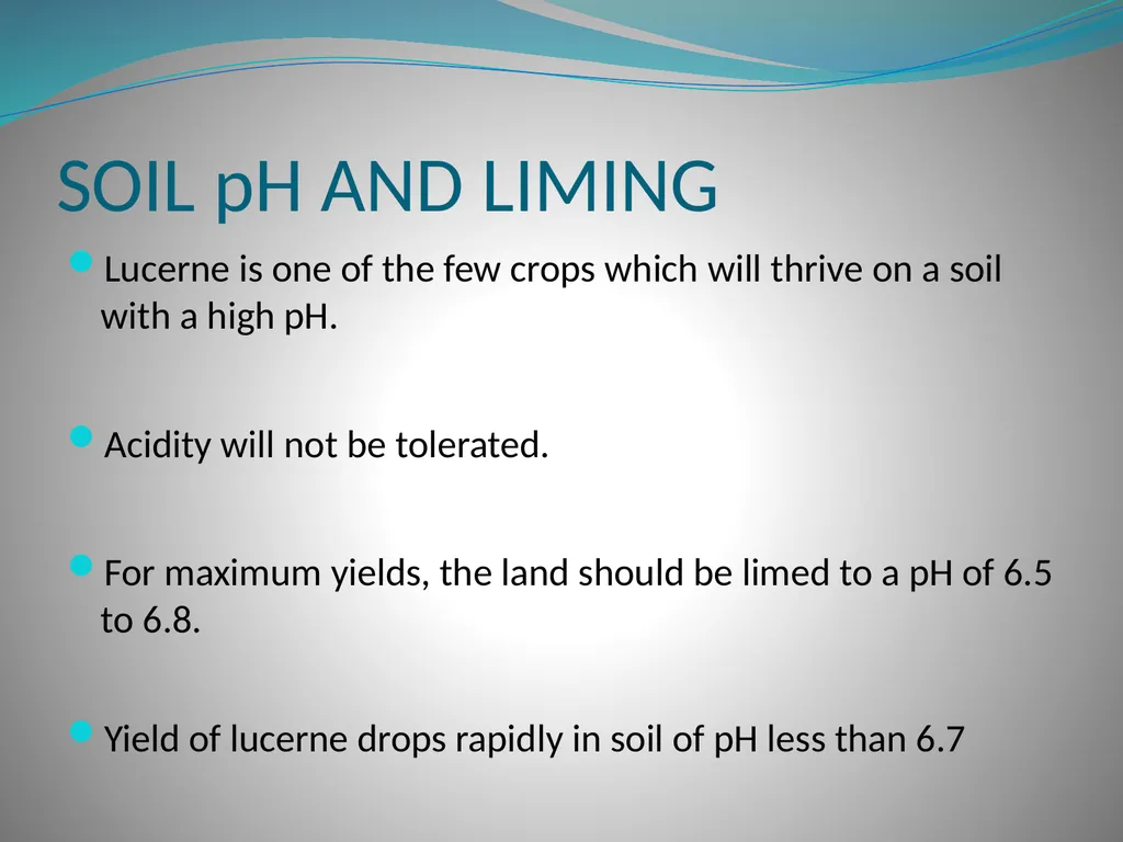 PRODUCTION AND MARKETING OF LUCERNE NTOKOZO - slide 14 of 34