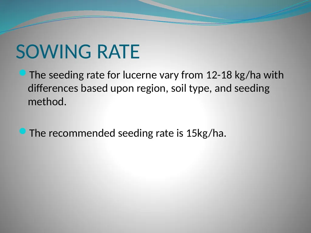 PRODUCTION AND MARKETING OF LUCERNE NTOKOZO - slide 13 of 34