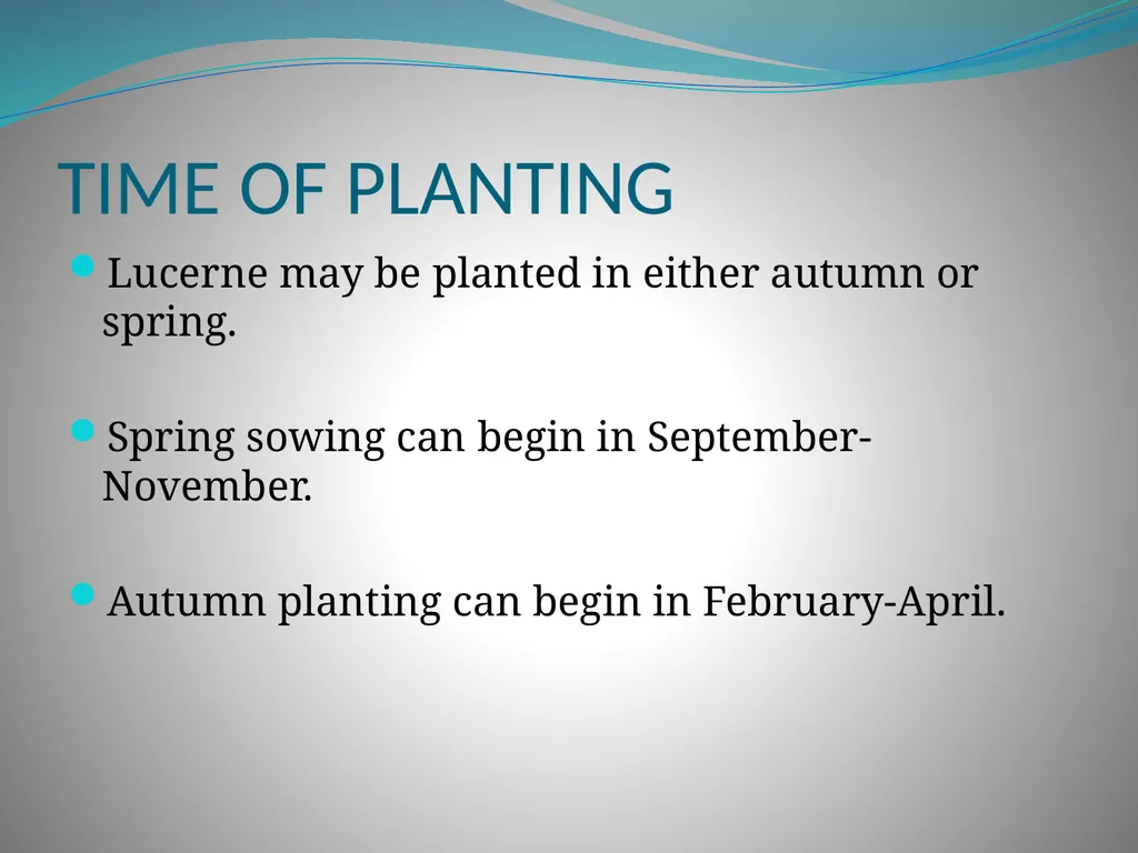 PRODUCTION AND MARKETING OF LUCERNE NTOKOZO - slide 12 of 34