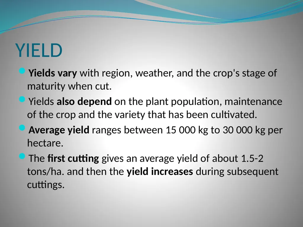 PRODUCTION AND MARKETING OF LUCERNE NTOKOZO - slide 15 of 34