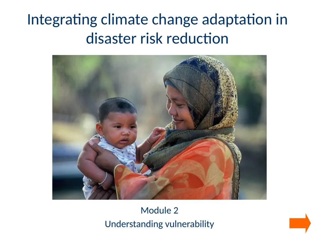 Module 2 Understanding vulnerability Integrating - slide 1 of 27