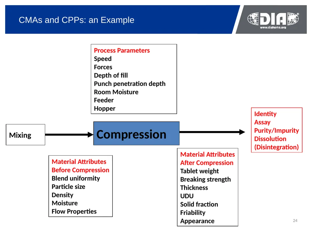 Development & The US FDA Approval of Generic Drugs - slide 24 of 35